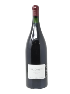 GEVREY-CHAMBERTIN MES FAVORITES VIEILLES VIGNES