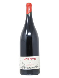 MORGON