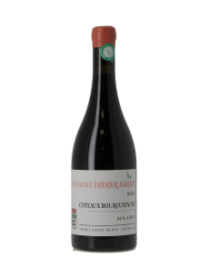 COTEAUX BOURGUIGNON