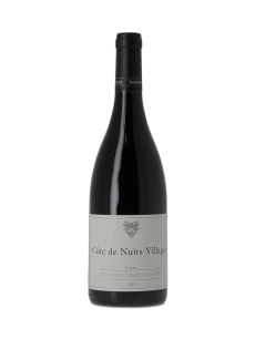 COTE DE NUITS VILLAGES