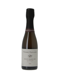 CHAMPAGNE EXTRA BRUT LES PARCELLES