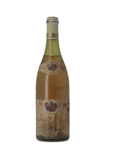 CORTON CHARLEMAGNE GRAND CRU