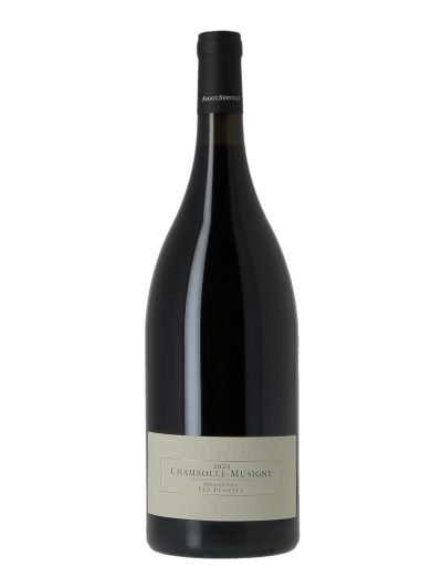 CHAMBOLLE-MUSIGNY 1ER CRU LES PLANTES