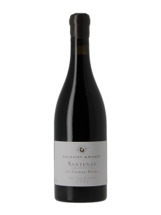 SANTENAY LES CHARMES DESSUS