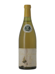 CORTON CHARLEMAGNE GRAND CRU