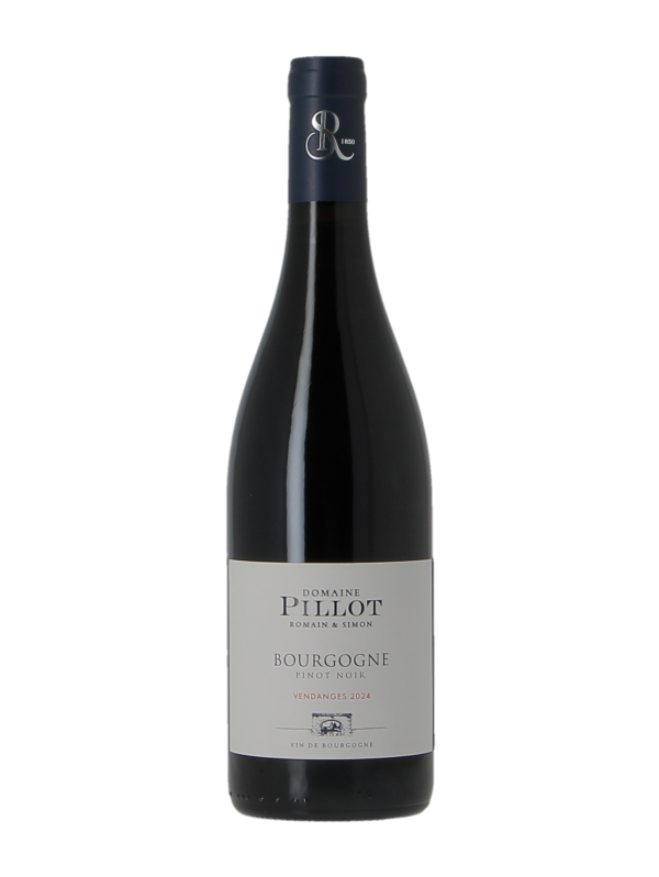 BOURGOGNE PINOT NOIR - DOMAINE PILLOT ROMAIN ET SIMON - Vintage 2024