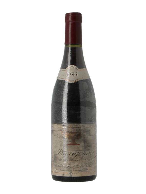 BOURGOGNE - DOMAINE GROS FRERE ET SOEUR - Vintage 1996