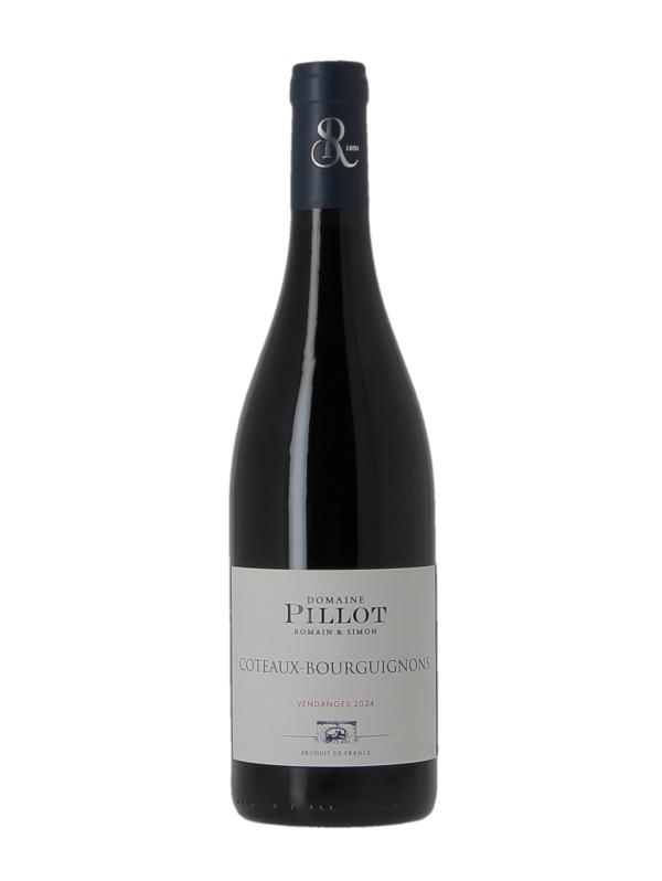 COTEAUX BOURGUIGNON - DOMAINE PILLOT LAURENT ET ROMAIN - Vintage 2024