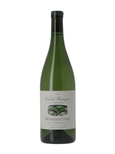 SANCERRE LES CULS DE BEAUJEU