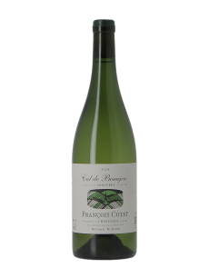 SANCERRE LES CULS DE BEAUJEU