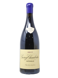 GEVREY-CHAMBERTIN LES EVOCELLES